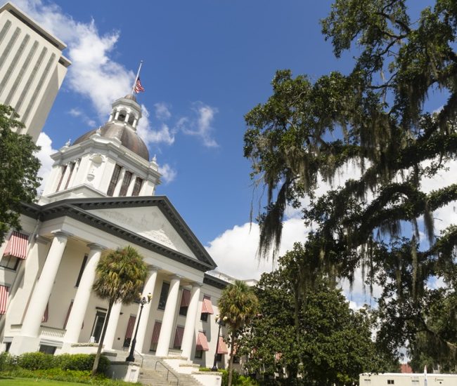 Therapist St. Tammany Parish